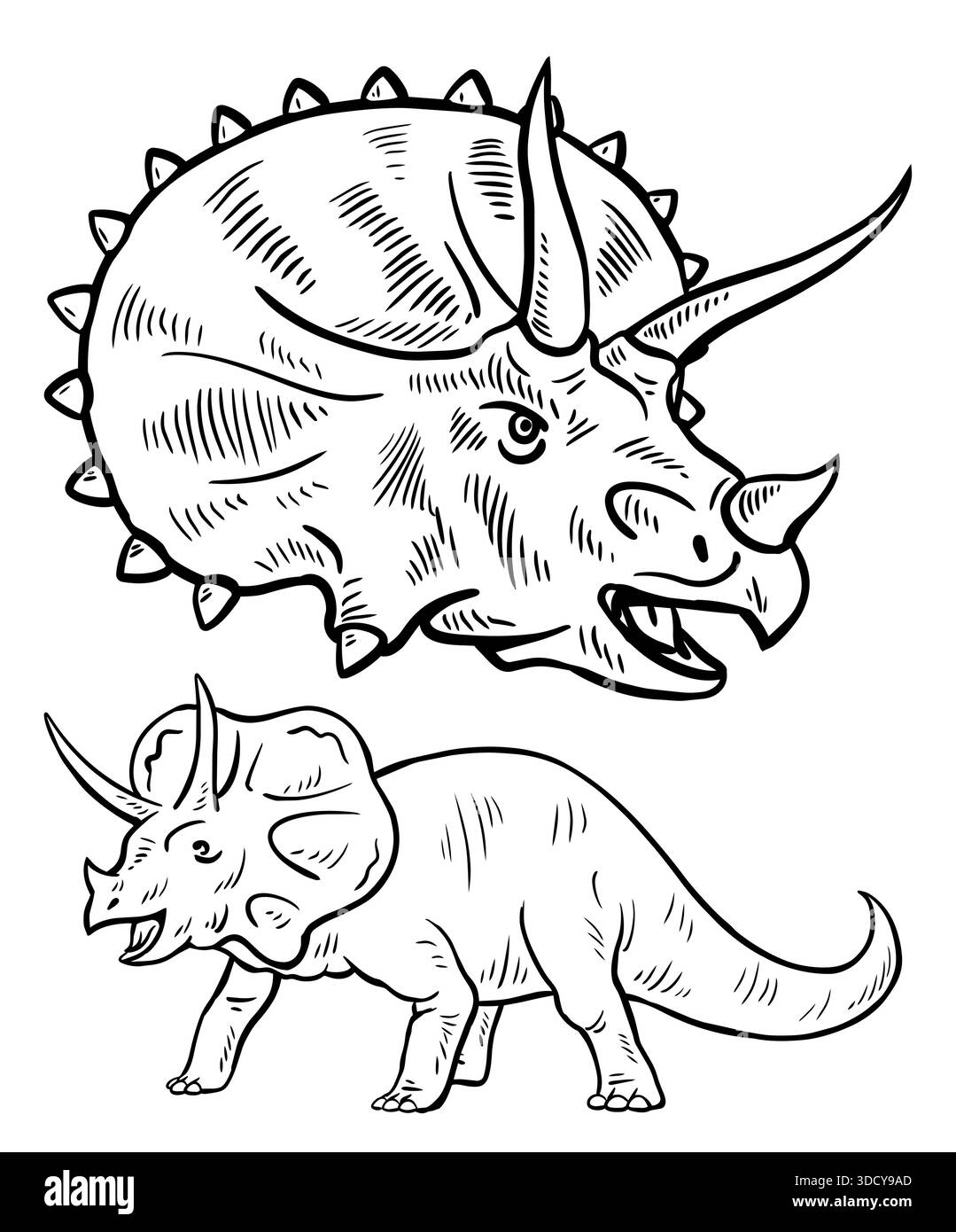 Triceratops tête de dinosaure isolé illustration vintage Illustration de Vecteur