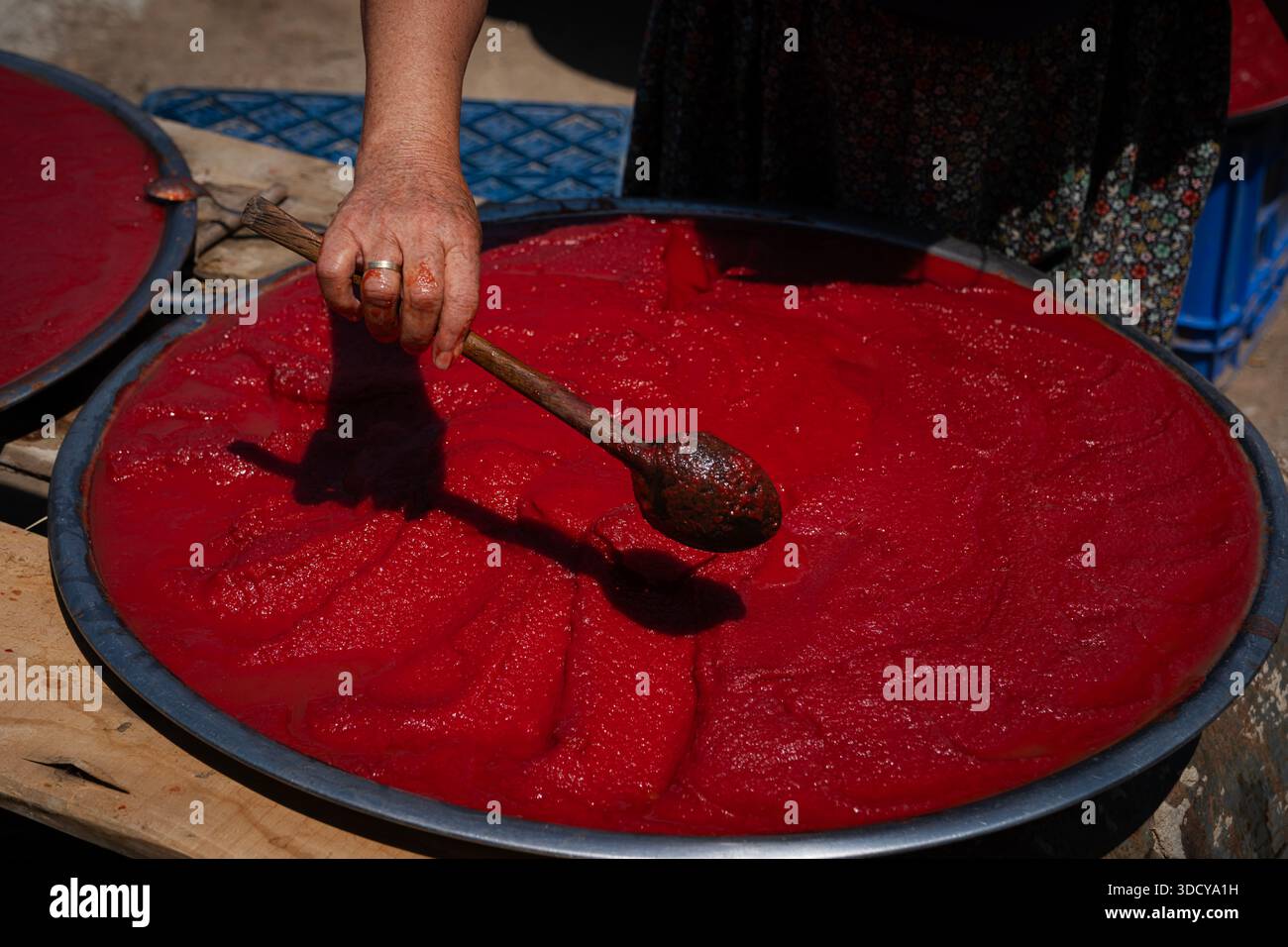 Femme préparant de la pâte de tomate fraîche maison, étalant de la purée de tomates rouges mûres dans de grands plateaux pour le séchage traditionnel au soleil en extérieur Banque D'Images