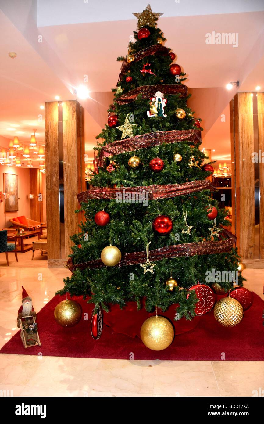 Weihnachtsbaum im foyer Bulls Reina Isabel und Spa Hotel Las Palmas Gran Canaria Spanien 25.12.2025 Playa de Las Canteras Strand Promenade Foto Las Palmas Gran Canaria *** arbre de Noël dans le foyer Bulls Reina Isabel and Spa Hotel Las Palmas Gran Canaria Espagne 25 12 2025 Playa de Las Canteras Beach Promenade photo Las Palmas Gran Canaria Banque D'Images
