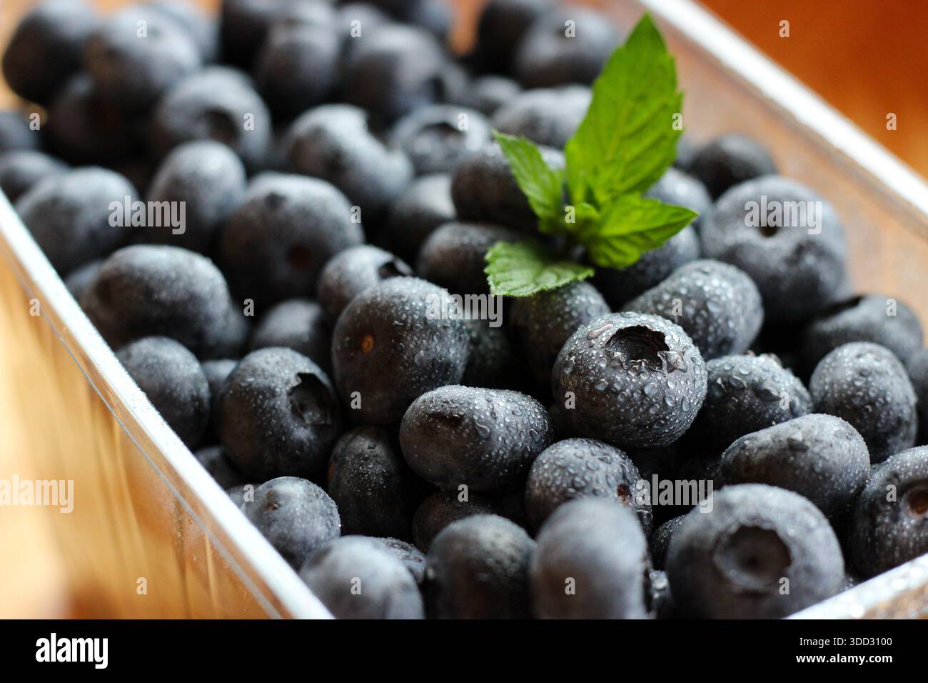Photo macro de bleuets avec des feuilles de menthe Banque D'Images