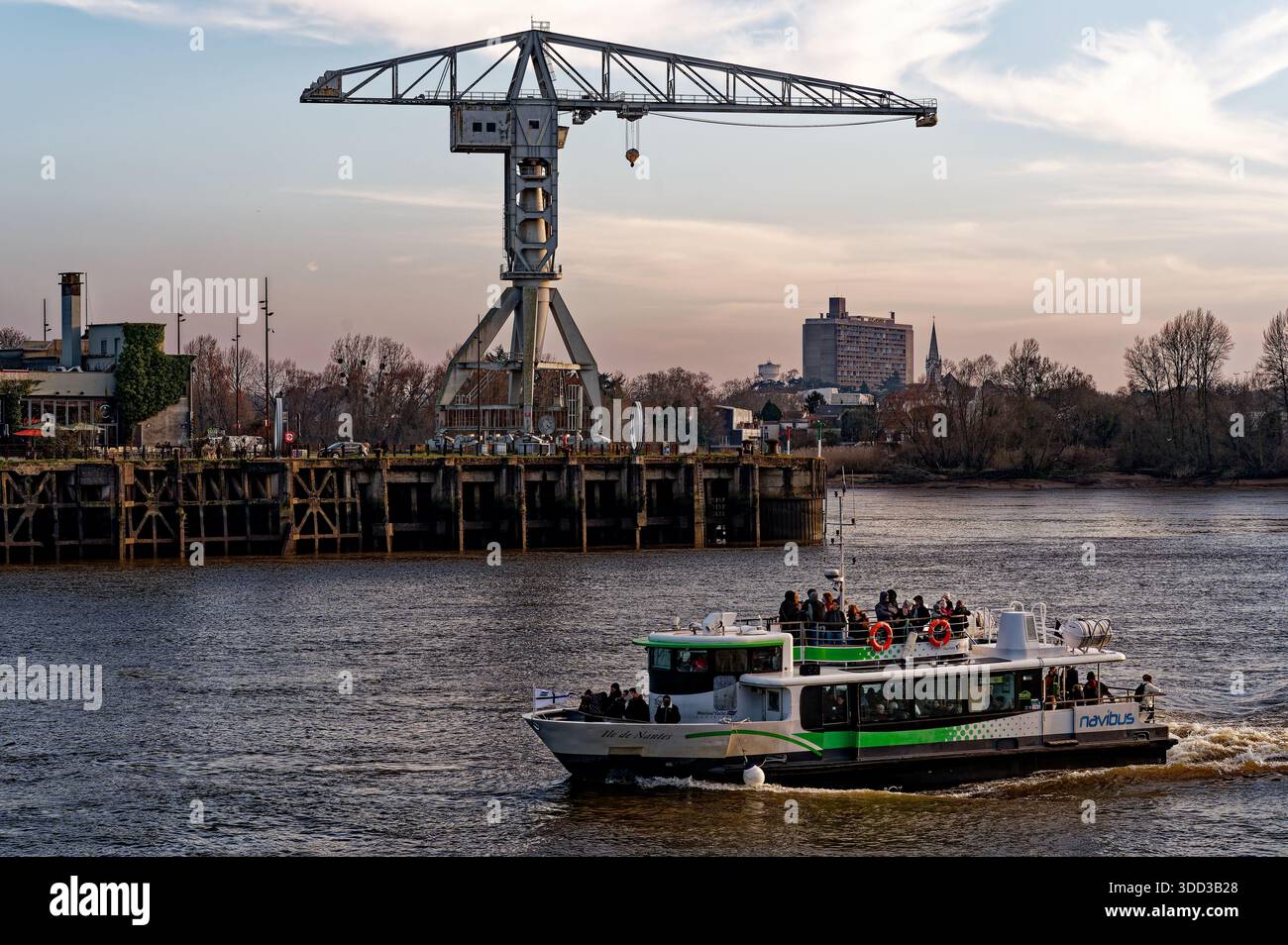 La grue grise sur le côté ouest de Nantes, France Banque D'Images