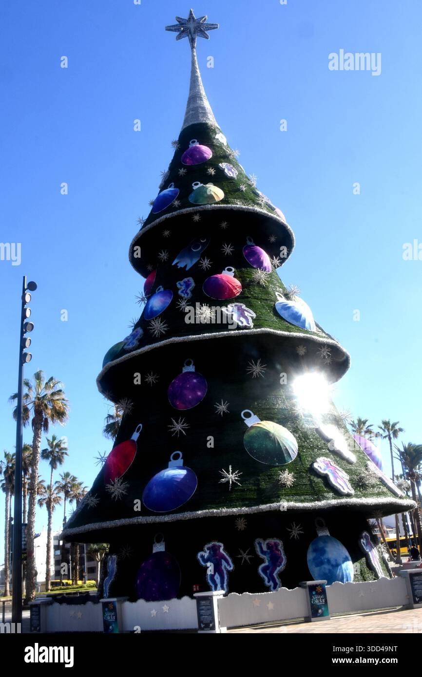 Weihnachtsbaum Las Palmas Gran Canaria Spanien 27.12.2026 Playa de las Canteras Strand Promenade Foto Las Palmas Gran Canaria *** arbre de Noël Las Palmas Gran Canaria Espagne 27 12 2026 Playa de las Canteras plage promenade photo Las Palmas Gran Canaria Banque D'Images