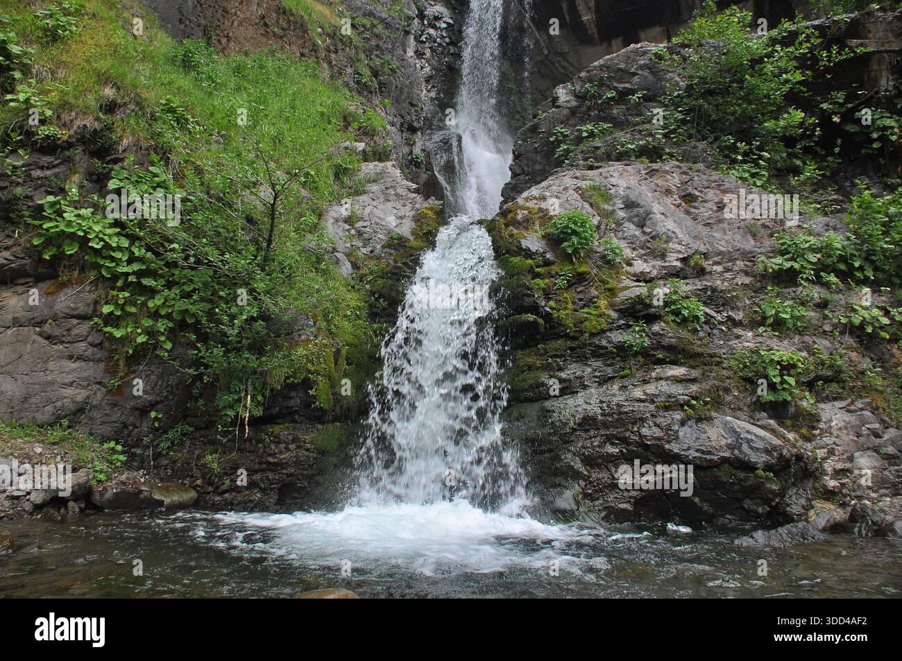 Une superbe cascade coule le long des falaises rocheuses, entourées de plantes et d'arbres verdoyants. L'eau claire jaillit dans une piscine tranquille en contrebas, creat Banque D'Images