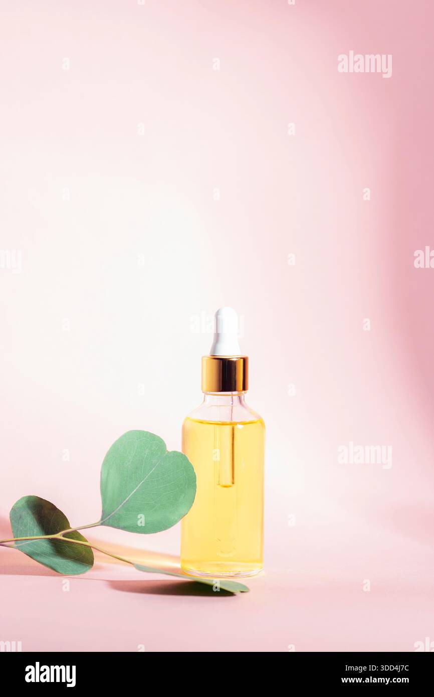 Bouteille compte-gouttes d'huile cosmétique avec des feuilles d'eucalyptus sur fond dégradé rose. Concept naturel de soins de la peau. Gros plan. Banque D'Images