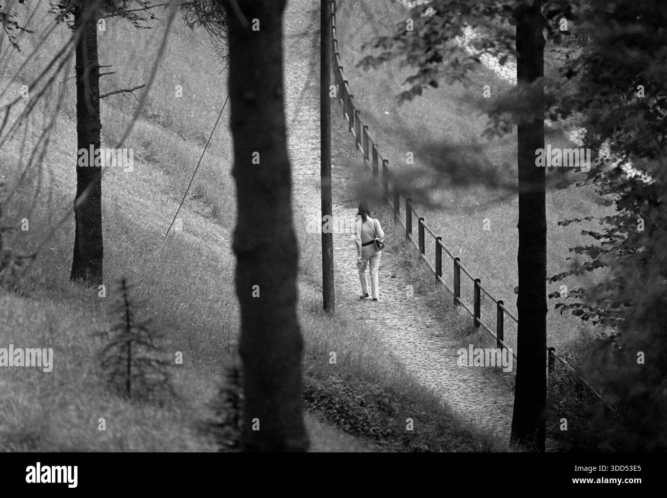 Années soixante, 15.08.1968, Grand-Duché de Luxembourg, ville de Luxembourg, Patrimoine mondial de l'UNESCO, personnes, femmes, shooting photo, femme de 20 à 30 ans en tenue de loisirs entreprend une promenade seule à travers une région forestière sauvage, image du corps entier, rétrovision Banque D'Images