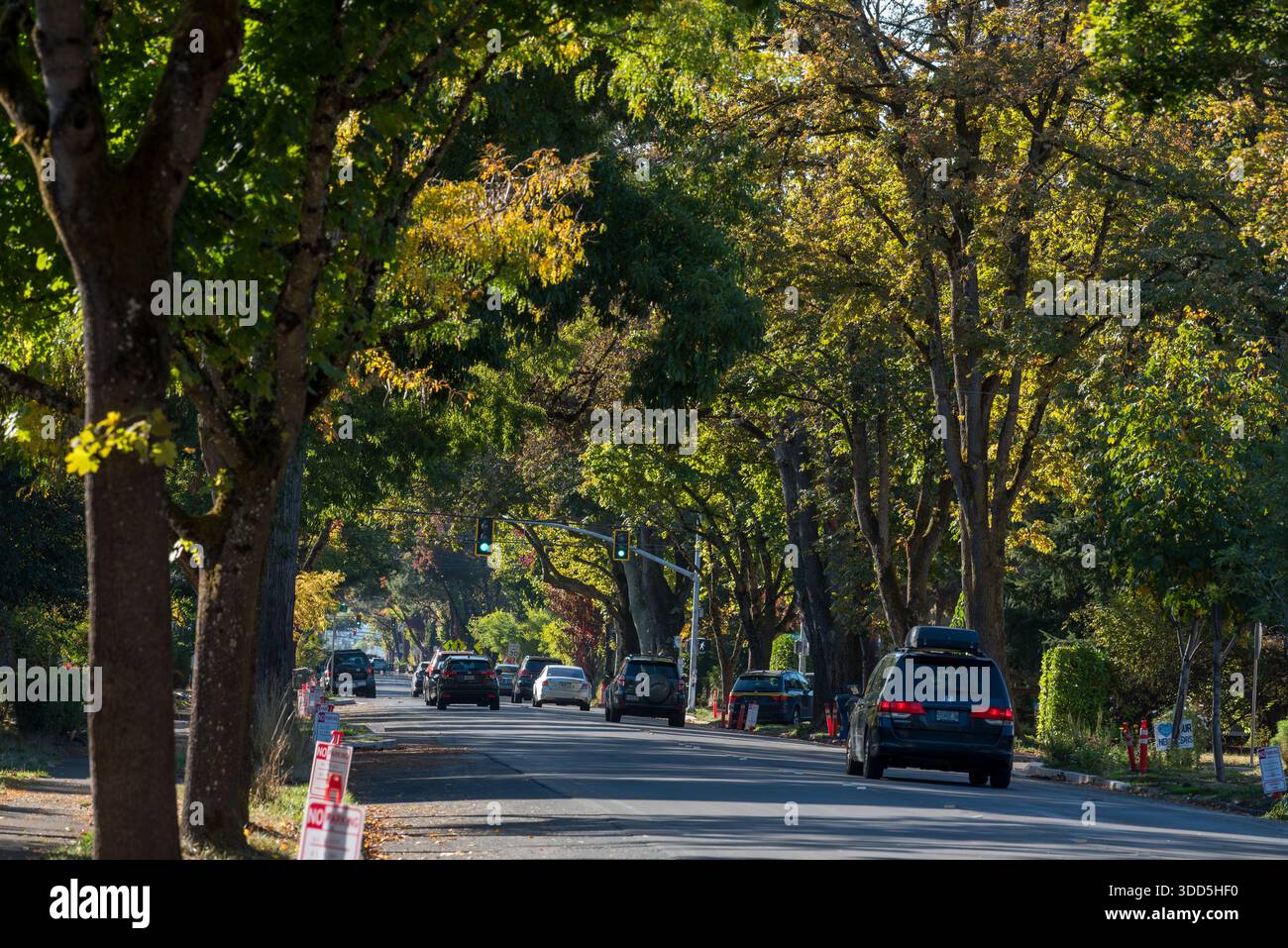 Circulation dans une rue résidentielle à Eugene, Oregon, États-Unis. Banque D'Images