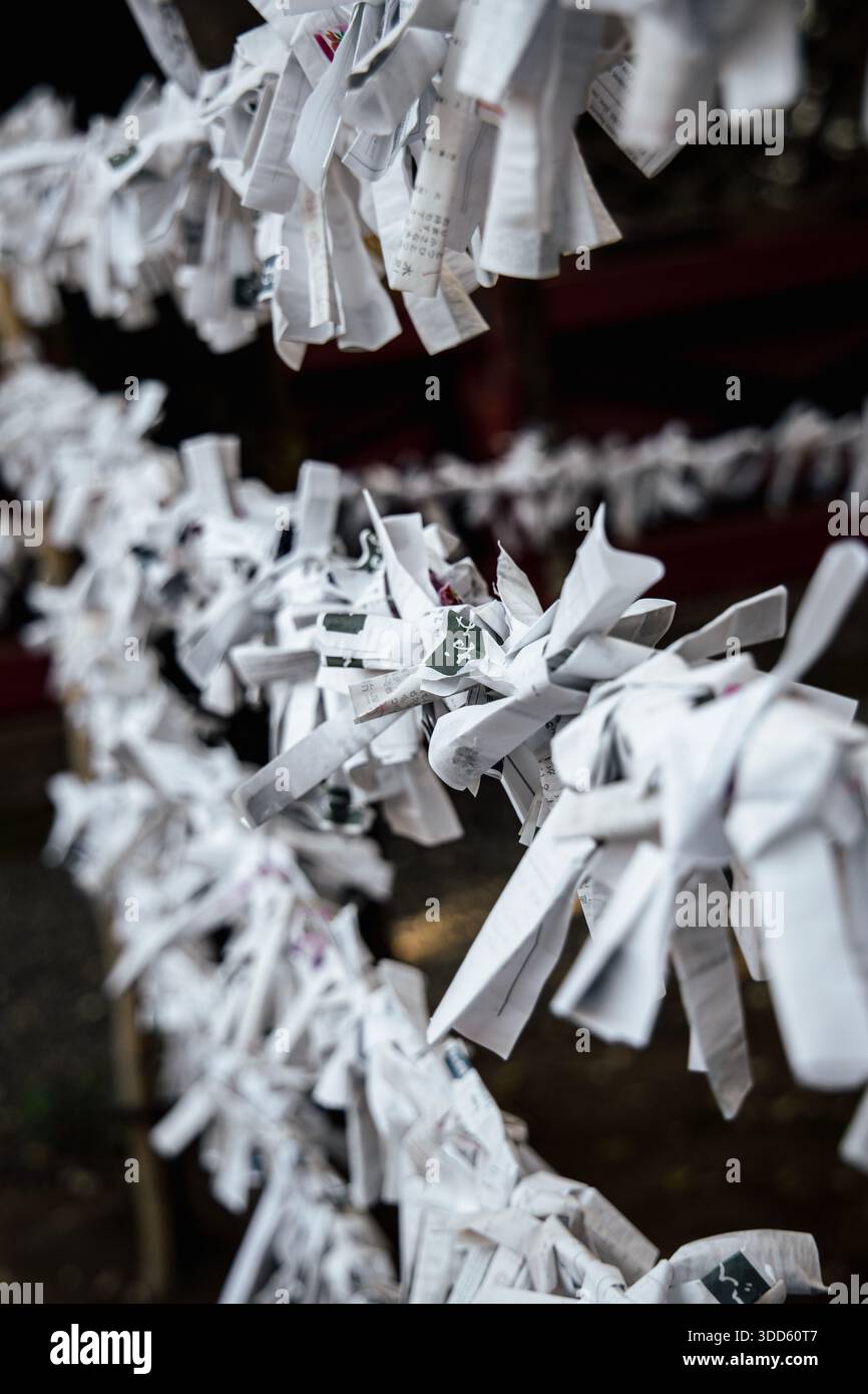 Omikuji des bandes de papier japonaises révélatrices de fortune suspendues au sanctuaire Nezu, Bunkyo City, Tokyo, Japon Banque D'Images