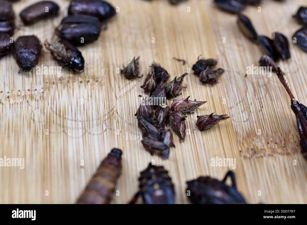 Le marché de San Juan à Mexico est célèbre pour son offre culinaire, avec une grande variété de fruits de mer et de viandes. Cependant, il attire également les touristes qui peuvent trouver de la venaison, du crocodile, du lion, du cochon de lait, de la chèvre, buffalo, et autres viandes exotiques. Il existe également des aliments et des collations uniques à vendre que tout le monde n'ose pas manger, comme divers insectes : scorpions, coléoptères, fourmis chicatana, vers maguey et escamoles (larves de fourmis). Ceux-ci peuvent être préparés dans des tacos, avec du guacamole, avec du chocolat, ou simplement seuls. Certaines familles mexicaines achètent ces types de viandes et d'aliments pour leur nouvel an Banque D'Images