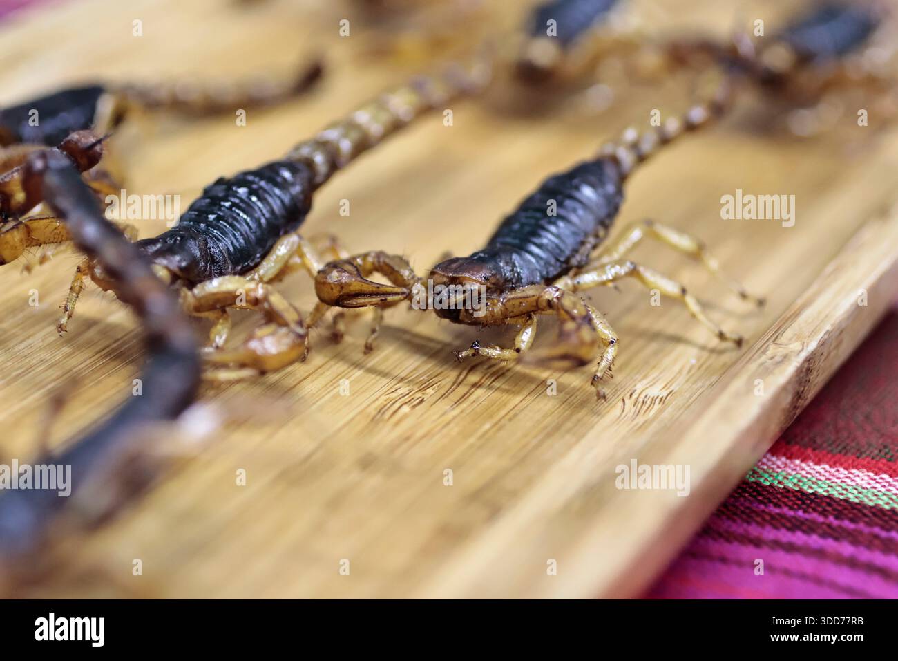 Le marché de San Juan à Mexico est célèbre pour son offre culinaire, avec une grande variété de fruits de mer et de viandes. Cependant, il attire également les touristes qui peuvent trouver de la venaison, du crocodile, du lion, du cochon de lait, de la chèvre, buffalo, et autres viandes exotiques. Il existe également des aliments et des collations uniques à vendre que tout le monde n'ose pas manger, comme divers insectes : scorpions, coléoptères, fourmis chicatana, vers maguey et escamoles (larves de fourmis). Ceux-ci peuvent être préparés dans des tacos, avec du guacamole, avec du chocolat, ou simplement seuls. Certaines familles mexicaines achètent ces types de viandes et d'aliments pour leur nouvel an Banque D'Images
