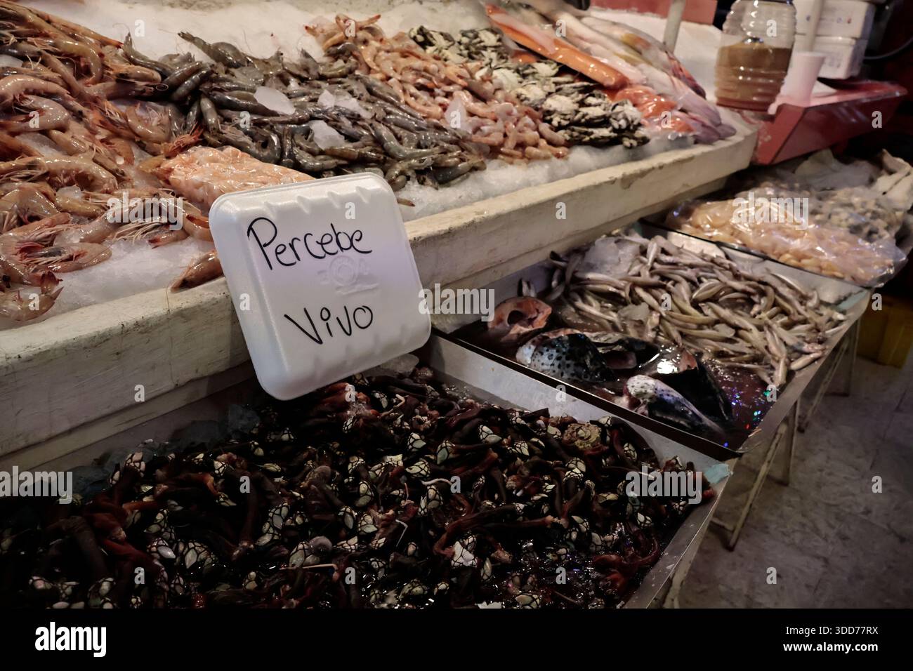 Le marché de San Juan à Mexico est célèbre pour son offre culinaire, avec une grande variété de fruits de mer et de viandes. Cependant, il attire également les touristes qui peuvent trouver de la venaison, du crocodile, du lion, du cochon de lait, de la chèvre, buffalo, et autres viandes exotiques. Il existe également des aliments et des collations uniques à vendre que tout le monde n'ose pas manger, comme divers insectes : scorpions, coléoptères, fourmis chicatana, vers maguey et escamoles (larves de fourmis). Ceux-ci peuvent être préparés dans des tacos, avec du guacamole, avec du chocolat, ou simplement seuls. Certaines familles mexicaines achètent ces types de viandes et d'aliments pour leur nouvel an Banque D'Images