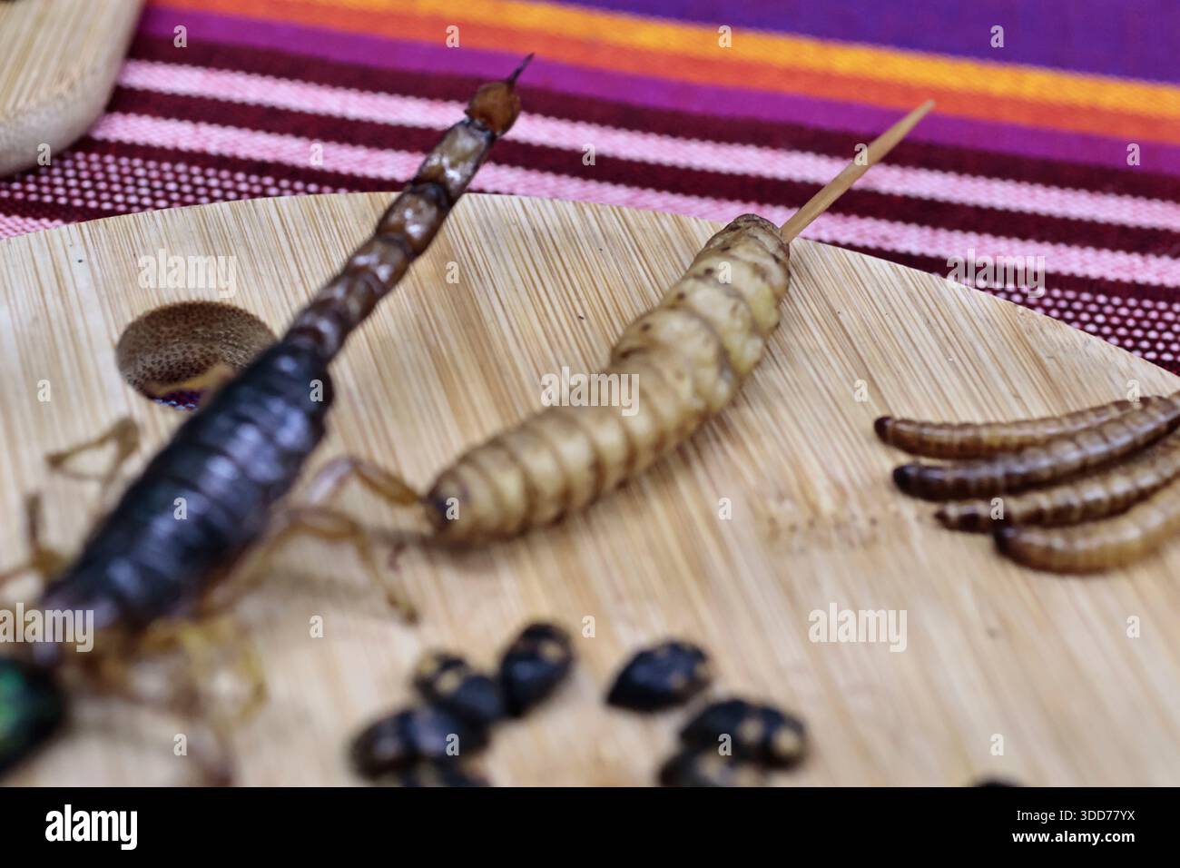 Le marché de San Juan à Mexico est célèbre pour son offre culinaire, avec une grande variété de fruits de mer et de viandes. Cependant, il attire également les touristes qui peuvent trouver de la venaison, du crocodile, du lion, du cochon de lait, de la chèvre, buffalo, et autres viandes exotiques. Il existe également des aliments et des collations uniques à vendre que tout le monde n'ose pas manger, comme divers insectes : scorpions, coléoptères, fourmis chicatana, vers maguey et escamoles (larves de fourmis). Ceux-ci peuvent être préparés dans des tacos, avec du guacamole, avec du chocolat, ou simplement seuls. Certaines familles mexicaines achètent ces types de viandes et d'aliments pour leur nouvel an Banque D'Images