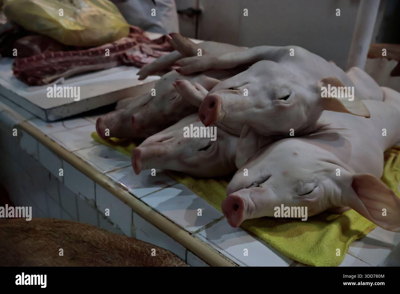 Le marché de San Juan à Mexico est célèbre pour son offre culinaire, avec une grande variété de fruits de mer et de viandes. Cependant, il attire également les touristes qui peuvent trouver de la venaison, du crocodile, du lion, du cochon de lait, de la chèvre, buffalo, et autres viandes exotiques. Il existe également des aliments et des collations uniques à vendre que tout le monde n'ose pas manger, comme divers insectes : scorpions, coléoptères, fourmis chicatana, vers maguey et escamoles (larves de fourmis). Ceux-ci peuvent être préparés dans des tacos, avec du guacamole, avec du chocolat, ou simplement seuls. Certaines familles mexicaines achètent ces types de viandes et d'aliments pour leur nouvel an Banque D'Images