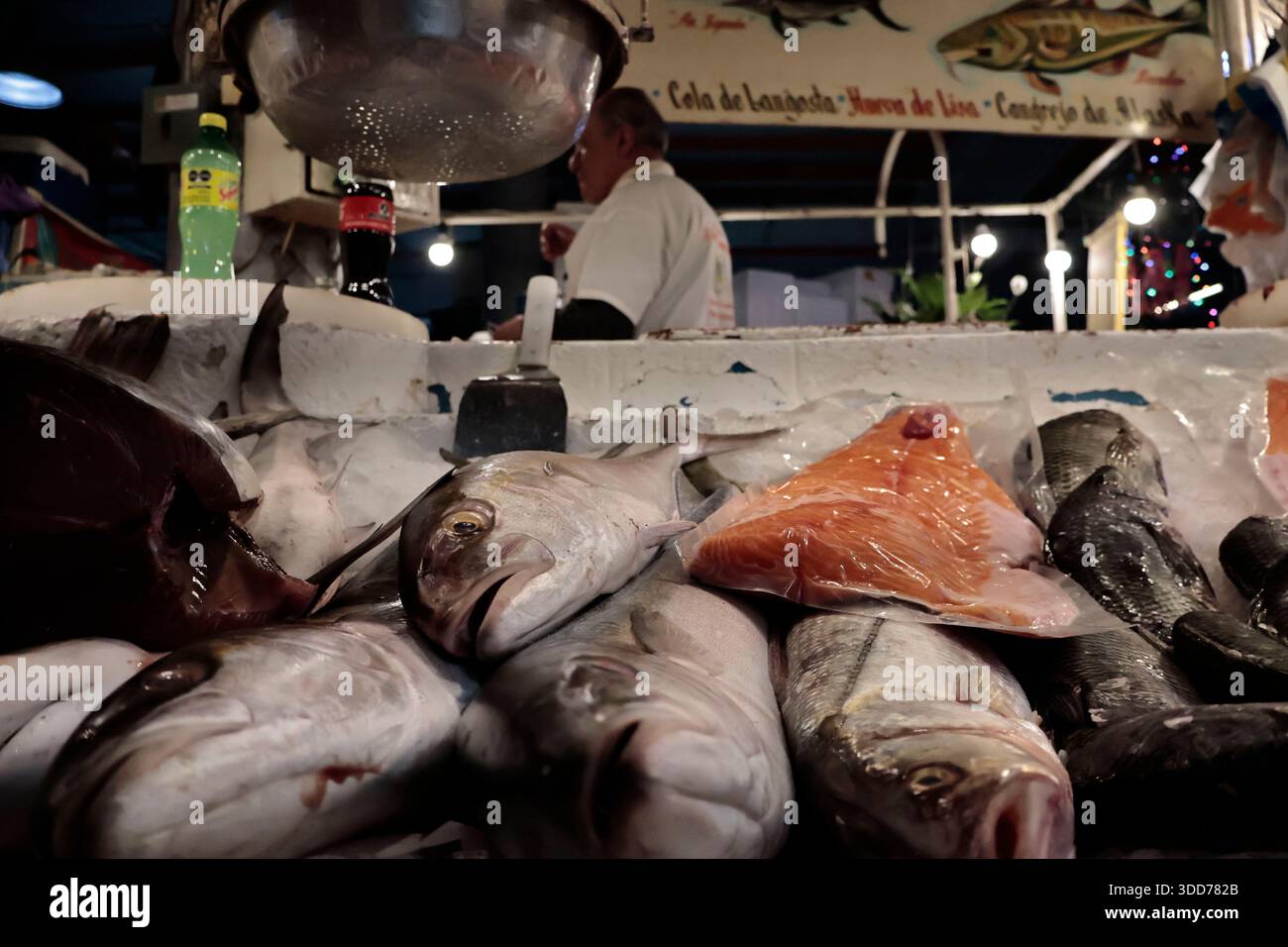 Le marché de San Juan à Mexico est célèbre pour son offre culinaire, avec une grande variété de fruits de mer et de viandes. Cependant, il attire également les touristes qui peuvent trouver de la venaison, du crocodile, du lion, du cochon de lait, de la chèvre, buffalo, et autres viandes exotiques. Il existe également des aliments et des collations uniques à vendre que tout le monde n'ose pas manger, comme divers insectes : scorpions, coléoptères, fourmis chicatana, vers maguey et escamoles (larves de fourmis). Ceux-ci peuvent être préparés dans des tacos, avec du guacamole, avec du chocolat, ou simplement seuls. Certaines familles mexicaines achètent ces types de viandes et d'aliments pour leur nouvel an Banque D'Images