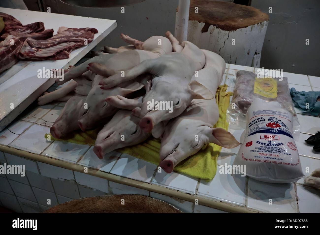 Le marché de San Juan à Mexico est célèbre pour son offre culinaire, avec une grande variété de fruits de mer et de viandes. Cependant, il attire également les touristes qui peuvent trouver de la venaison, du crocodile, du lion, du cochon de lait, de la chèvre, buffalo, et autres viandes exotiques. Il existe également des aliments et des collations uniques à vendre que tout le monde n'ose pas manger, comme divers insectes : scorpions, coléoptères, fourmis chicatana, vers maguey et escamoles (larves de fourmis). Ceux-ci peuvent être préparés dans des tacos, avec du guacamole, avec du chocolat, ou simplement seuls. Certaines familles mexicaines achètent ces types de viandes et d'aliments pour leur nouvel an Banque D'Images