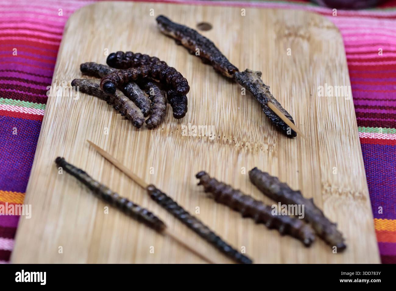 Le marché de San Juan à Mexico est célèbre pour son offre culinaire, avec une grande variété de fruits de mer et de viandes. Cependant, il attire également les touristes qui peuvent trouver de la venaison, du crocodile, du lion, du cochon de lait, de la chèvre, buffalo, et autres viandes exotiques. Il existe également des aliments et des collations uniques à vendre que tout le monde n'ose pas manger, comme divers insectes : scorpions, coléoptères, fourmis chicatana, vers maguey et escamoles (larves de fourmis). Ceux-ci peuvent être préparés dans des tacos, avec du guacamole, avec du chocolat, ou simplement seuls. Certaines familles mexicaines achètent ces types de viandes et d'aliments pour leur nouvel an Banque D'Images