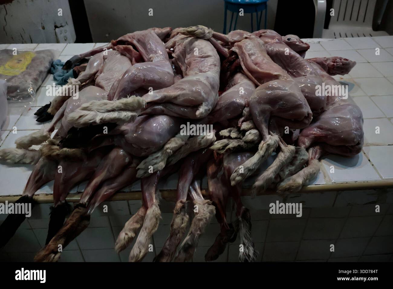 Le marché de San Juan à Mexico est célèbre pour son offre culinaire, avec une grande variété de fruits de mer et de viandes. Cependant, il attire également les touristes qui peuvent trouver de la venaison, du crocodile, du lion, du cochon de lait, de la chèvre, buffalo, et autres viandes exotiques. Il existe également des aliments et des collations uniques à vendre que tout le monde n'ose pas manger, comme divers insectes : scorpions, coléoptères, fourmis chicatana, vers maguey et escamoles (larves de fourmis). Ceux-ci peuvent être préparés dans des tacos, avec du guacamole, avec du chocolat, ou simplement seuls. Certaines familles mexicaines achètent ces types de viandes et d'aliments pour leur nouvel an Banque D'Images