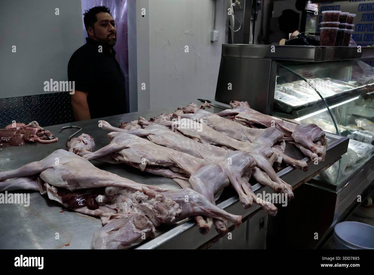 Le marché de San Juan à Mexico est célèbre pour son offre culinaire, avec une grande variété de fruits de mer et de viandes. Cependant, il attire également les touristes qui peuvent trouver de la venaison, du crocodile, du lion, du cochon de lait, de la chèvre, buffalo, et autres viandes exotiques. Il existe également des aliments et des collations uniques à vendre que tout le monde n'ose pas manger, comme divers insectes : scorpions, coléoptères, fourmis chicatana, vers maguey et escamoles (larves de fourmis). Ceux-ci peuvent être préparés dans des tacos, avec du guacamole, avec du chocolat, ou simplement seuls. Certaines familles mexicaines achètent ces types de viandes et d'aliments pour leur nouvel an Banque D'Images