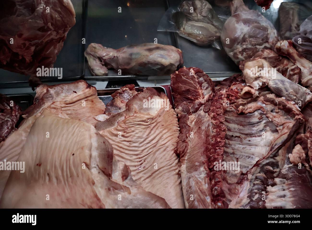 Le marché de San Juan à Mexico est célèbre pour son offre culinaire, avec une grande variété de fruits de mer et de viandes. Cependant, il attire également les touristes qui peuvent trouver de la venaison, du crocodile, du lion, du cochon de lait, de la chèvre, buffalo, et autres viandes exotiques. Il existe également des aliments et des collations uniques à vendre que tout le monde n'ose pas manger, comme divers insectes : scorpions, coléoptères, fourmis chicatana, vers maguey et escamoles (larves de fourmis). Ceux-ci peuvent être préparés dans des tacos, avec du guacamole, avec du chocolat, ou simplement seuls. Certaines familles mexicaines achètent ces types de viandes et d'aliments pour leur nouvel an Banque D'Images