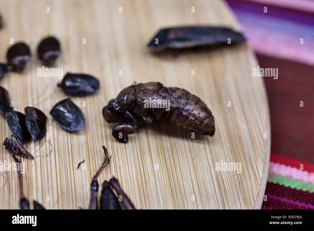 Le marché de San Juan à Mexico est célèbre pour son offre culinaire, avec une grande variété de fruits de mer et de viandes. Cependant, il attire également les touristes qui peuvent trouver de la venaison, du crocodile, du lion, du cochon de lait, de la chèvre, buffalo, et autres viandes exotiques. Il existe également des aliments et des collations uniques à vendre que tout le monde n'ose pas manger, comme divers insectes : scorpions, coléoptères, fourmis chicatana, vers maguey et escamoles (larves de fourmis). Ceux-ci peuvent être préparés dans des tacos, avec du guacamole, avec du chocolat, ou simplement seuls. Certaines familles mexicaines achètent ces types de viandes et d'aliments pour leur nouvel an Banque D'Images