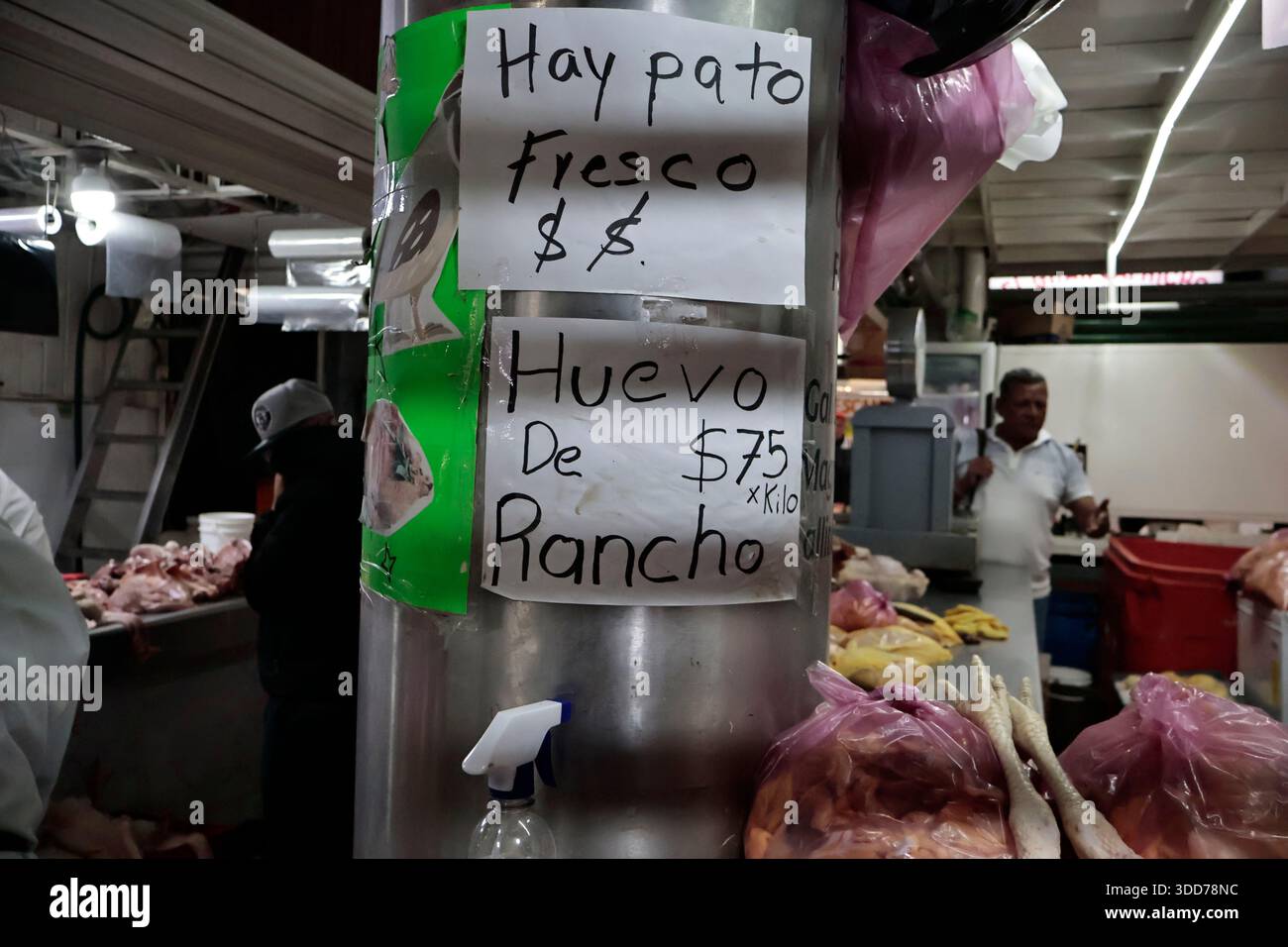 Le marché de San Juan à Mexico est célèbre pour son offre culinaire, avec une grande variété de fruits de mer et de viandes. Cependant, il attire également les touristes qui peuvent trouver de la venaison, du crocodile, du lion, du cochon de lait, de la chèvre, buffalo, et autres viandes exotiques. Il existe également des aliments et des collations uniques à vendre que tout le monde n'ose pas manger, comme divers insectes : scorpions, coléoptères, fourmis chicatana, vers maguey et escamoles (larves de fourmis). Ceux-ci peuvent être préparés dans des tacos, avec du guacamole, avec du chocolat, ou simplement seuls. Certaines familles mexicaines achètent ces types de viandes et d'aliments pour leur nouvel an Banque D'Images