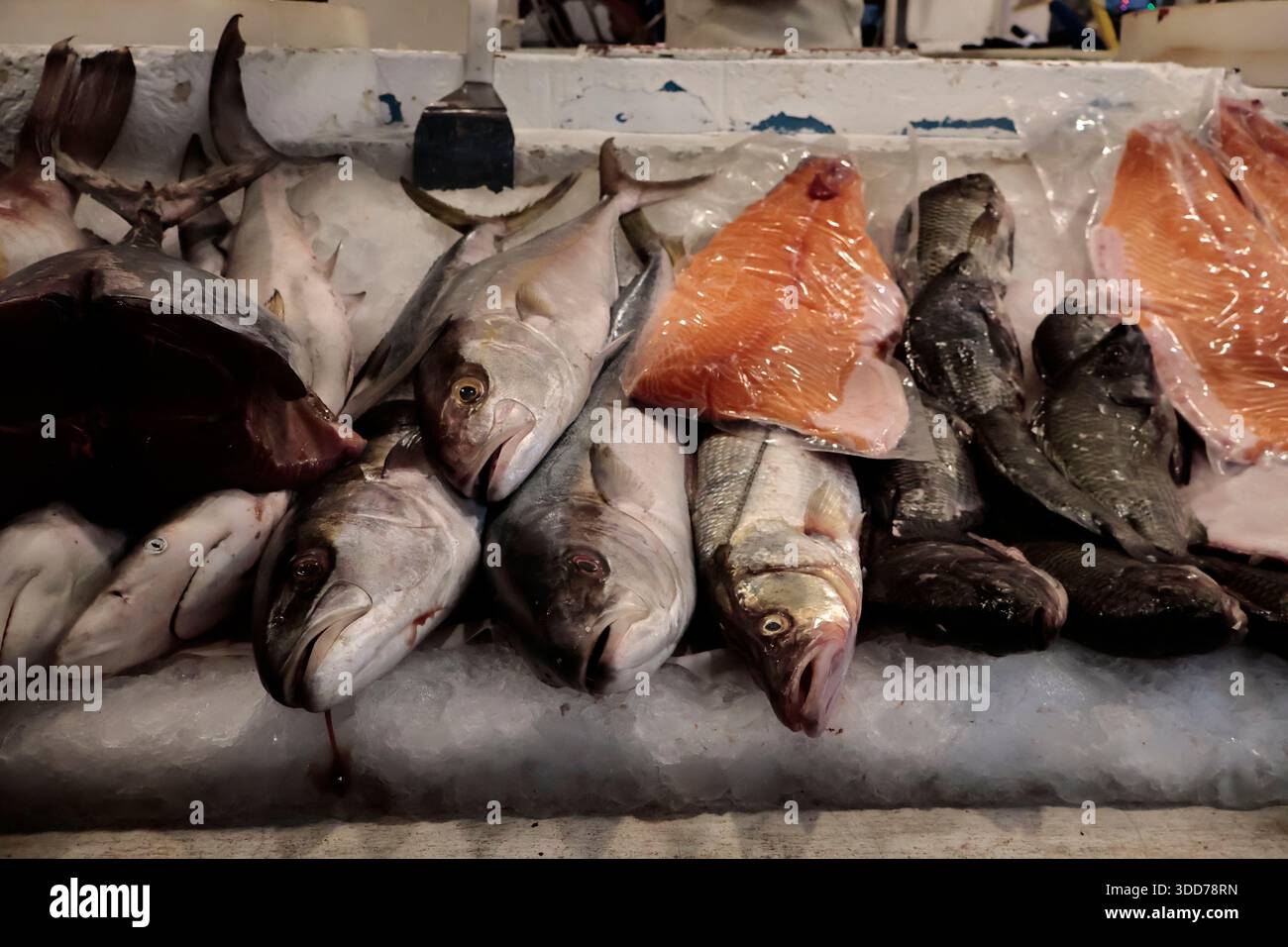 Le marché de San Juan à Mexico est célèbre pour son offre culinaire, avec une grande variété de fruits de mer et de viandes. Cependant, il attire également les touristes qui peuvent trouver de la venaison, du crocodile, du lion, du cochon de lait, de la chèvre, buffalo, et autres viandes exotiques. Il existe également des aliments et des collations uniques à vendre que tout le monde n'ose pas manger, comme divers insectes : scorpions, coléoptères, fourmis chicatana, vers maguey et escamoles (larves de fourmis). Ceux-ci peuvent être préparés dans des tacos, avec du guacamole, avec du chocolat, ou simplement seuls. Certaines familles mexicaines achètent ces types de viandes et d'aliments pour leur nouvel an Banque D'Images