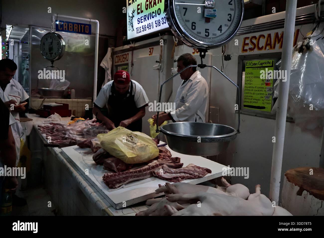Le marché de San Juan à Mexico est célèbre pour son offre culinaire, avec une grande variété de fruits de mer et de viandes. Cependant, il attire également les touristes qui peuvent trouver de la venaison, du crocodile, du lion, du cochon de lait, de la chèvre, buffalo, et autres viandes exotiques. Il existe également des aliments et des collations uniques à vendre que tout le monde n'ose pas manger, comme divers insectes : scorpions, coléoptères, fourmis chicatana, vers maguey et escamoles (larves de fourmis). Ceux-ci peuvent être préparés dans des tacos, avec du guacamole, avec du chocolat, ou simplement seuls. Certaines familles mexicaines achètent ces types de viandes et d'aliments pour leur nouvel an Banque D'Images
