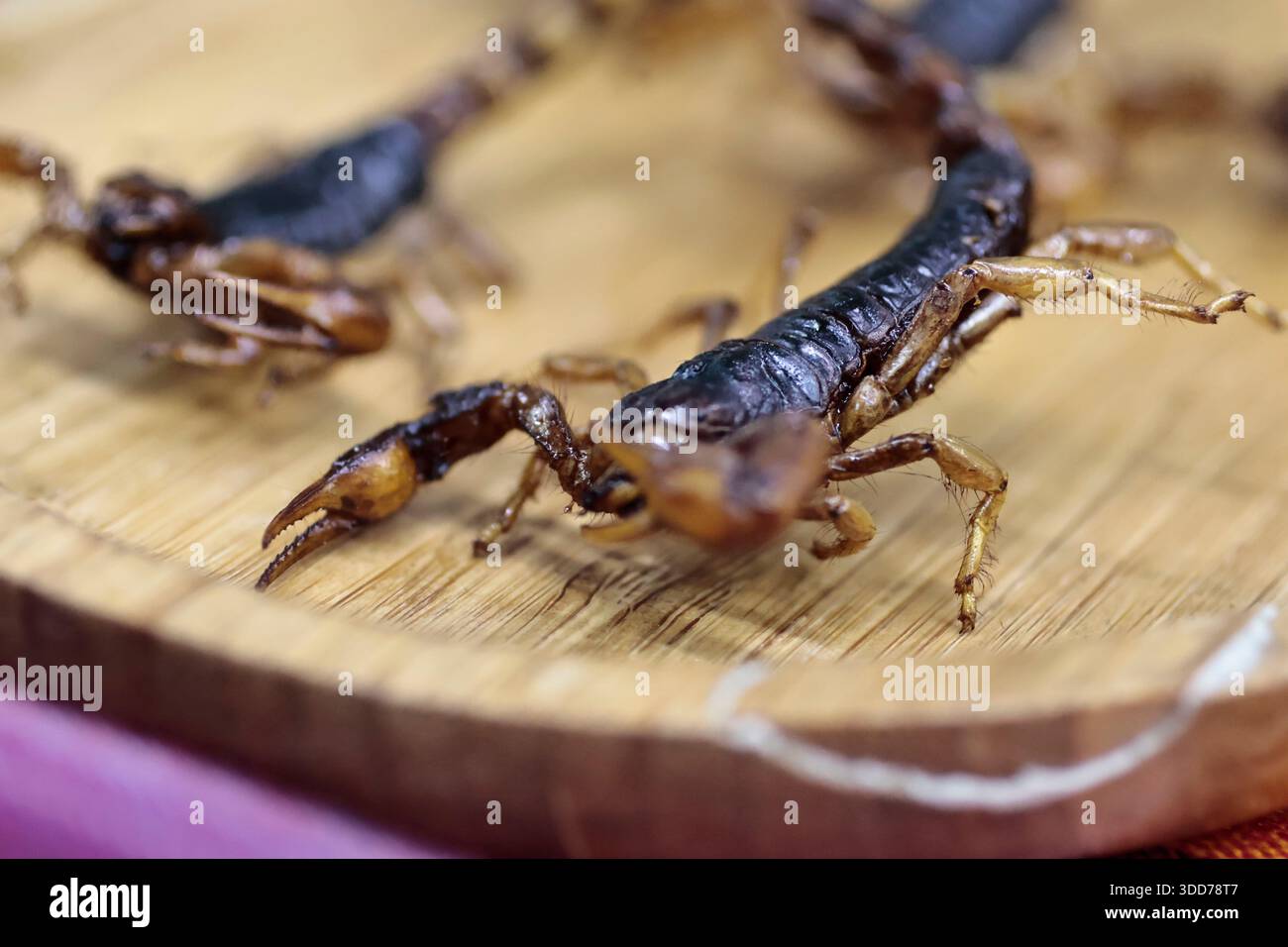 Le marché de San Juan à Mexico est célèbre pour son offre culinaire, avec une grande variété de fruits de mer et de viandes. Cependant, il attire également les touristes qui peuvent trouver de la venaison, du crocodile, du lion, du cochon de lait, de la chèvre, buffalo, et autres viandes exotiques. Il existe également des aliments et des collations uniques à vendre que tout le monde n'ose pas manger, comme divers insectes : scorpions, coléoptères, fourmis chicatana, vers maguey et escamoles (larves de fourmis). Ceux-ci peuvent être préparés dans des tacos, avec du guacamole, avec du chocolat, ou simplement seuls. Certaines familles mexicaines achètent ces types de viandes et d'aliments pour leur nouvel an Banque D'Images