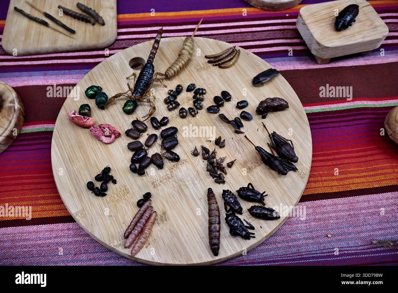 Le marché de San Juan à Mexico est célèbre pour son offre culinaire, avec une grande variété de fruits de mer et de viandes. Cependant, il attire également les touristes qui peuvent trouver de la venaison, du crocodile, du lion, du cochon de lait, de la chèvre, buffalo, et autres viandes exotiques. Il existe également des aliments et des collations uniques à vendre que tout le monde n'ose pas manger, comme divers insectes : scorpions, coléoptères, fourmis chicatana, vers maguey et escamoles (larves de fourmis). Ceux-ci peuvent être préparés dans des tacos, avec du guacamole, avec du chocolat, ou simplement seuls. Certaines familles mexicaines achètent ces types de viandes et d'aliments pour leur nouvel an Banque D'Images