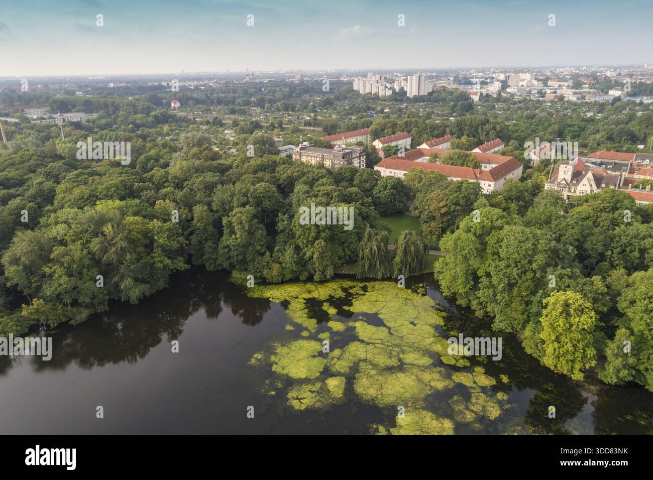 Vue aérienne de la verdoyante canopée du parc Treptower rencontre l'eau sombre et entrelacée d'algues, les bâtiments jetant un coup d'œil à travers les arbres, parc Treptower, Berlin Banque D'Images
