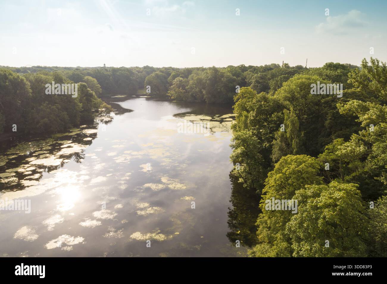 Vue aérienne d'un lac tranquille reflète le ciel, bordé d'arbres verdoyants dans Treptower Park, Berlin, Allemagne. Banque D'Images