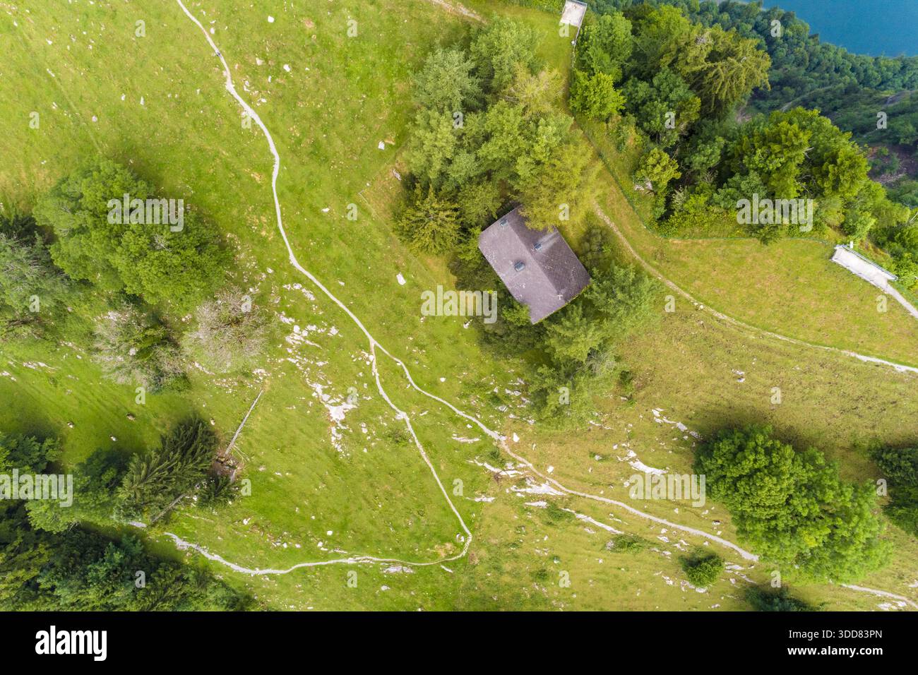 Vue aérienne d'une cabane pittoresque nichée au milieu de l'étendue verdoyante de Treptower Park, où les prairies ensoleillées rencontrent la dense canopée d'arbres, Berlin, Banque D'Images