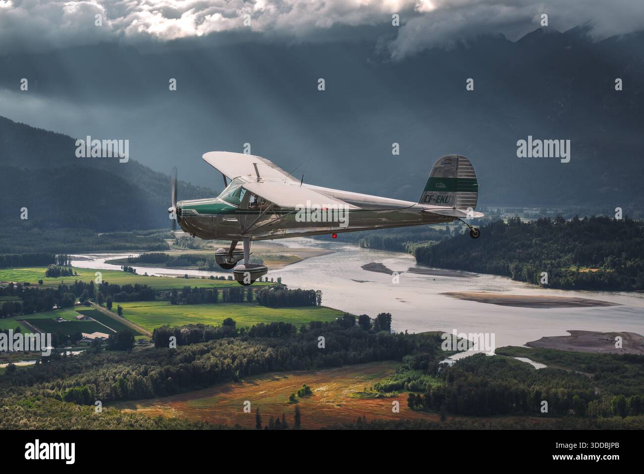 Cette photographie montre un Cessna 140, immatriculé CF-EKU et portant le numéro de série 14027, en vol air-air au salon aéronautique international d'Abbotsford. L'avion est montré en vol stable, mettant l'accent sur sa configuration à ailes hautes, son train d'atterrissage à roue arrière et sa configuration traditionnelle à moteur à pistons. L’image sert de dossier factuel de la participation de l’avion au spectacle aérien de 2025. Banque D'Images