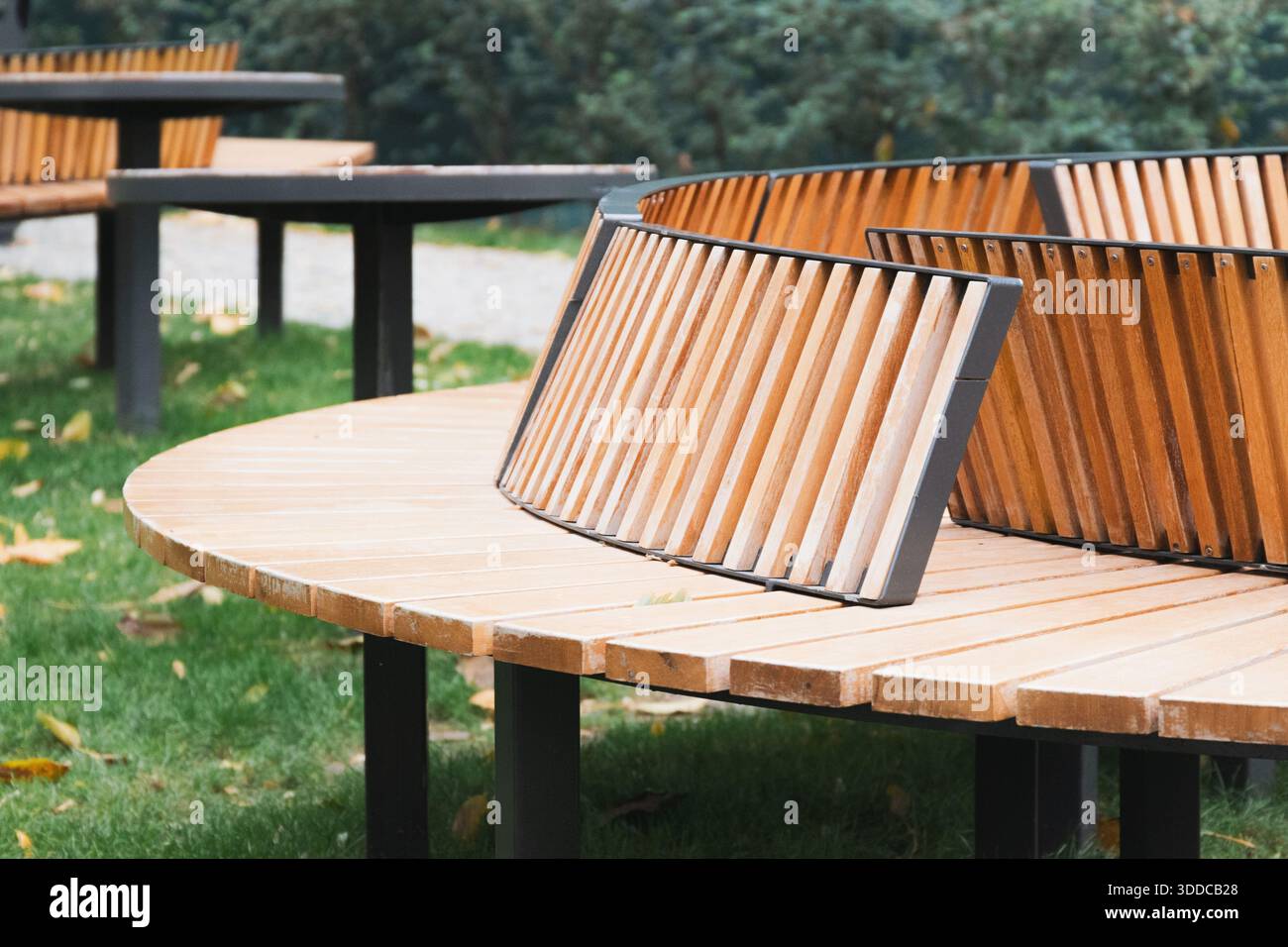 Banc incurvé moderne avec lattes en bois et cadre en métal, situé sur l'herbe verte dans un parc public, invitant à la détente Banque D'Images