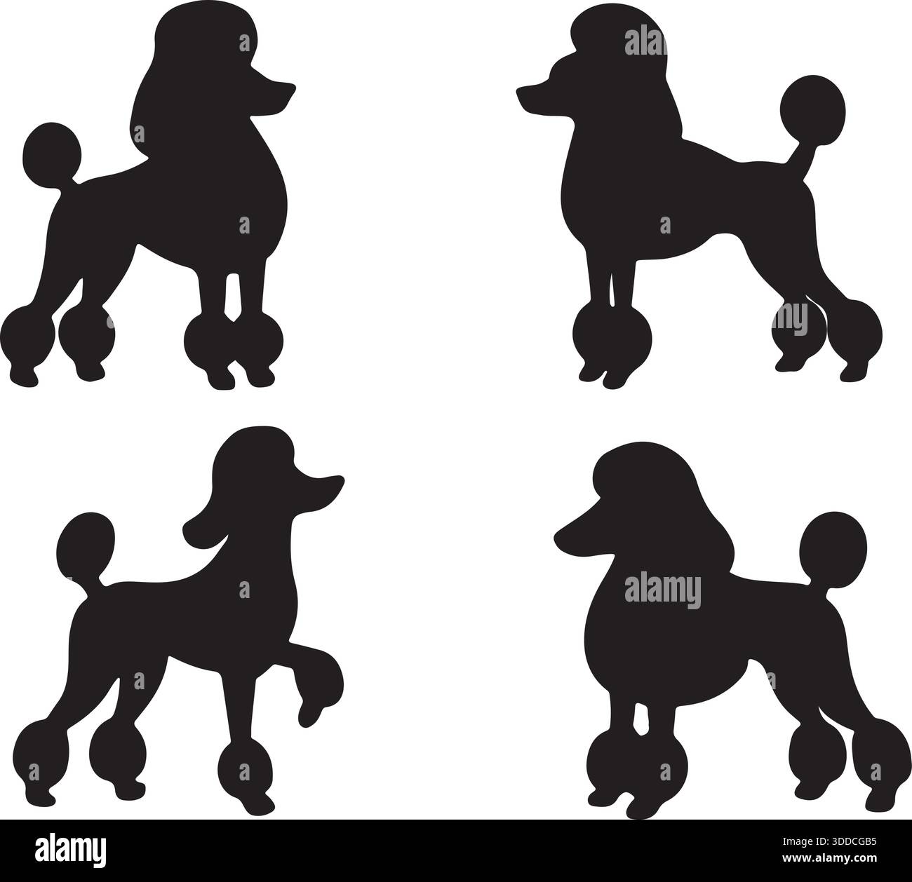 Silhouettes de chien de caniche ensemble illustration vectorielle noir et blanc Illustration de Vecteur