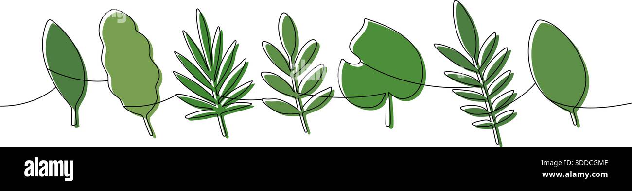 Art minimaliste en ligne continue de feuilles tropicales vertes assorties. Dessin de contour botanique pour un design moderne élégant Illustration de Vecteur