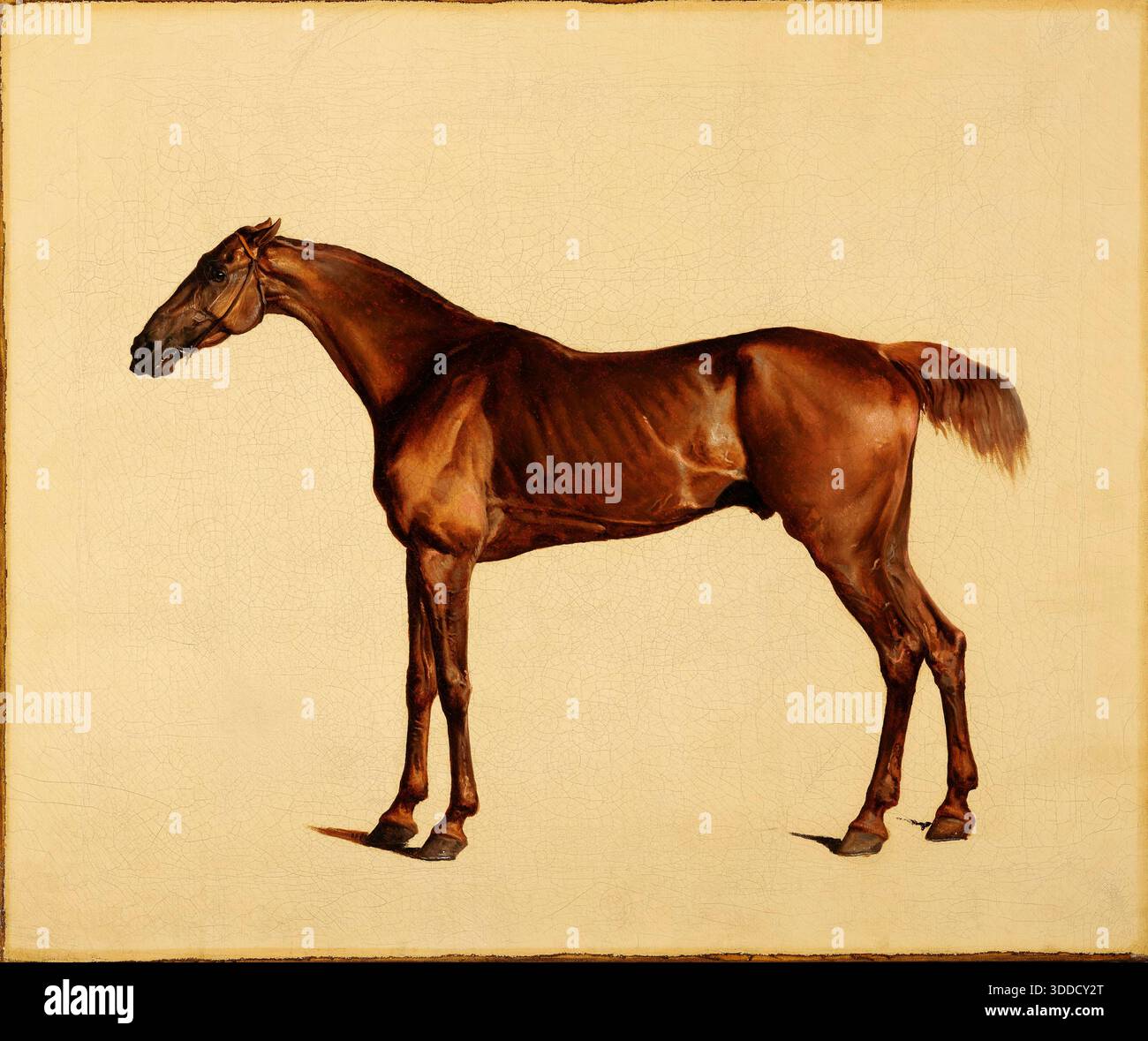 Pangloss. George Stubbs. c. 1762. Banque D'Images