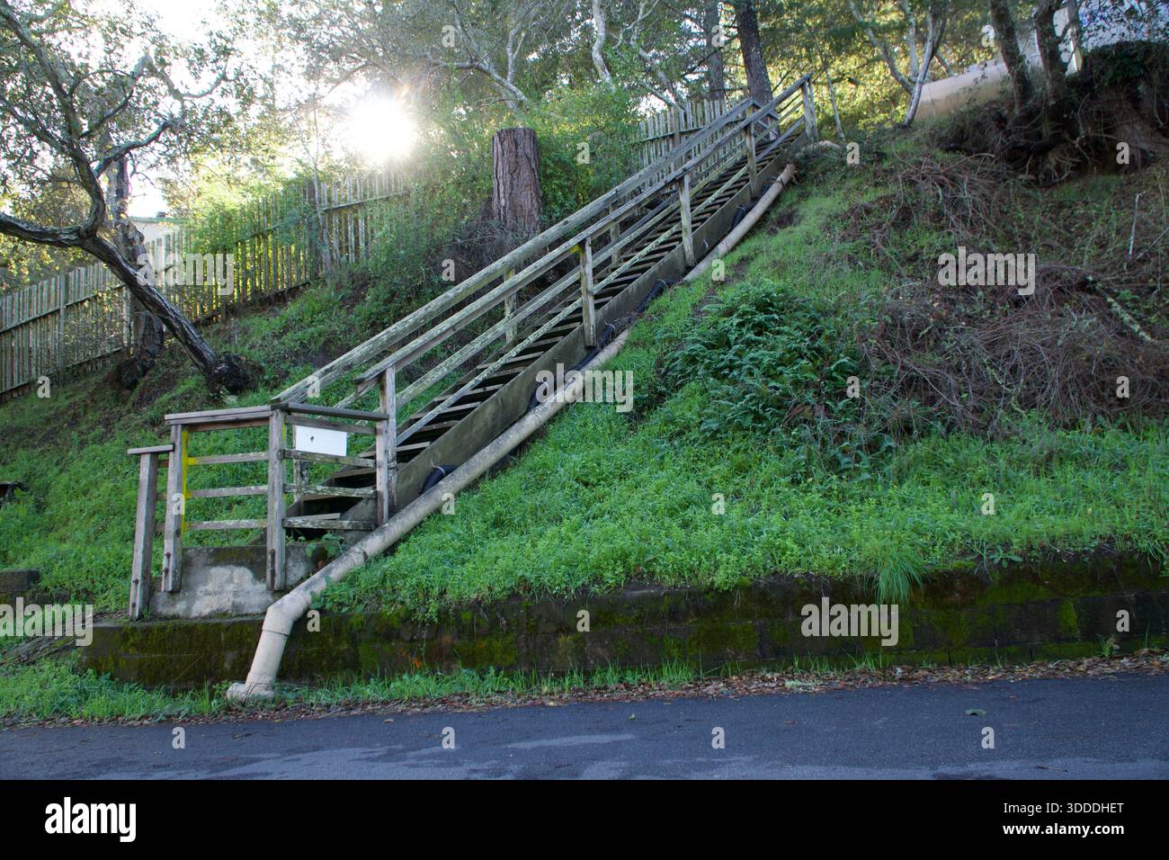 Escalier en bois sur une colline verte en Californie Banque D'Images