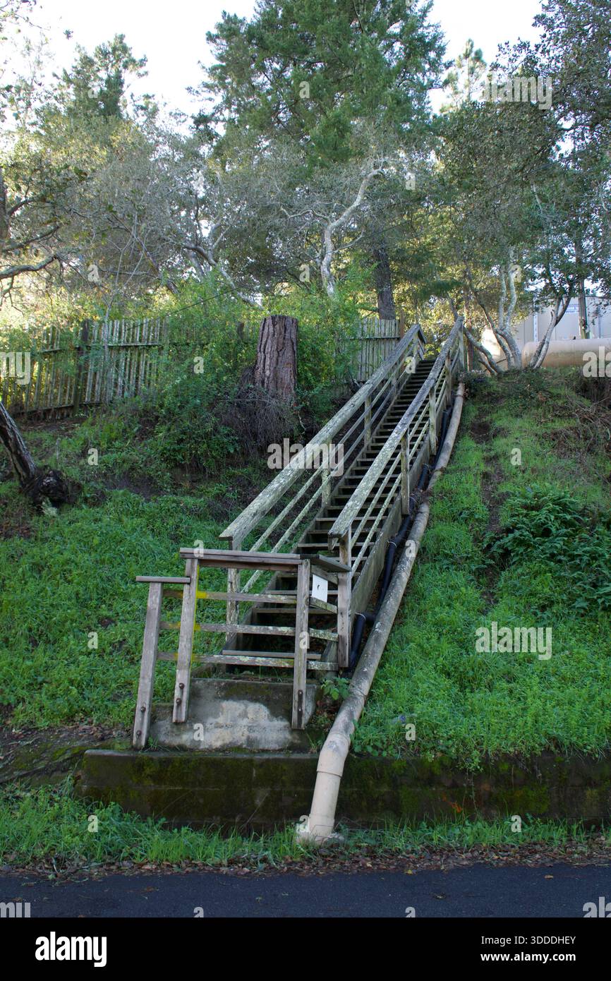 Escalier en bois sur une colline verte en Californie Banque D'Images