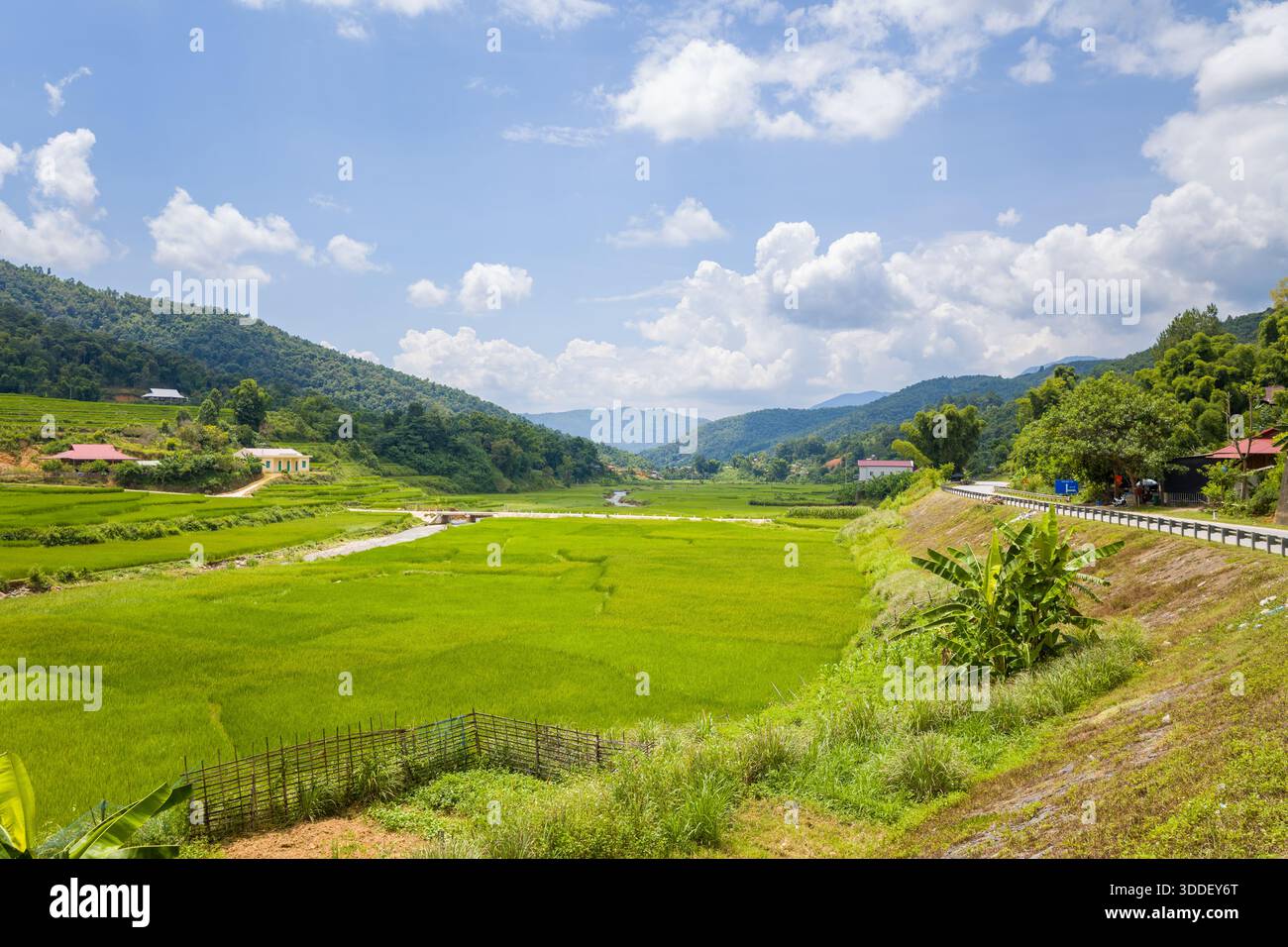 De vastes champs de riz vert s'étendent le long d'une route rurale tranquille, entourée de collines boisées et de maisons dispersées sous un ciel bleu vif avec des nuages moelleux dans le nord du Vietnam. La scène est luxuriante et paisible, avec des textures naturelles vives et une campagne ouverte. Banque D'Images
