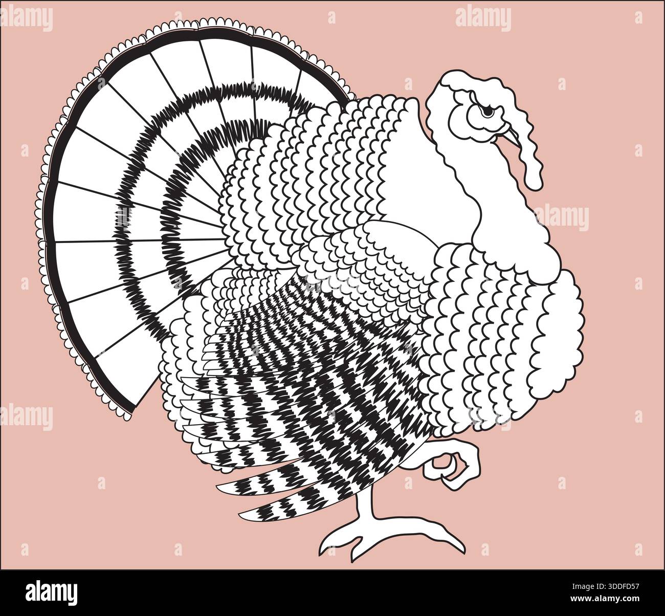 Oiseau de dinde de Thanksgiving pour illustration vectorielle festive de Happy Thanksgiving Day. Cute turkey vecteur est parfait pour les conceptions d'enfants, les impressions, les cartes Illustration de Vecteur