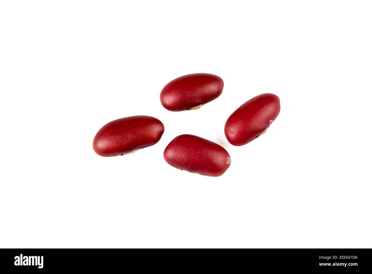 Haricot rouge séché, haricot sur fond blanc Banque D'Images
