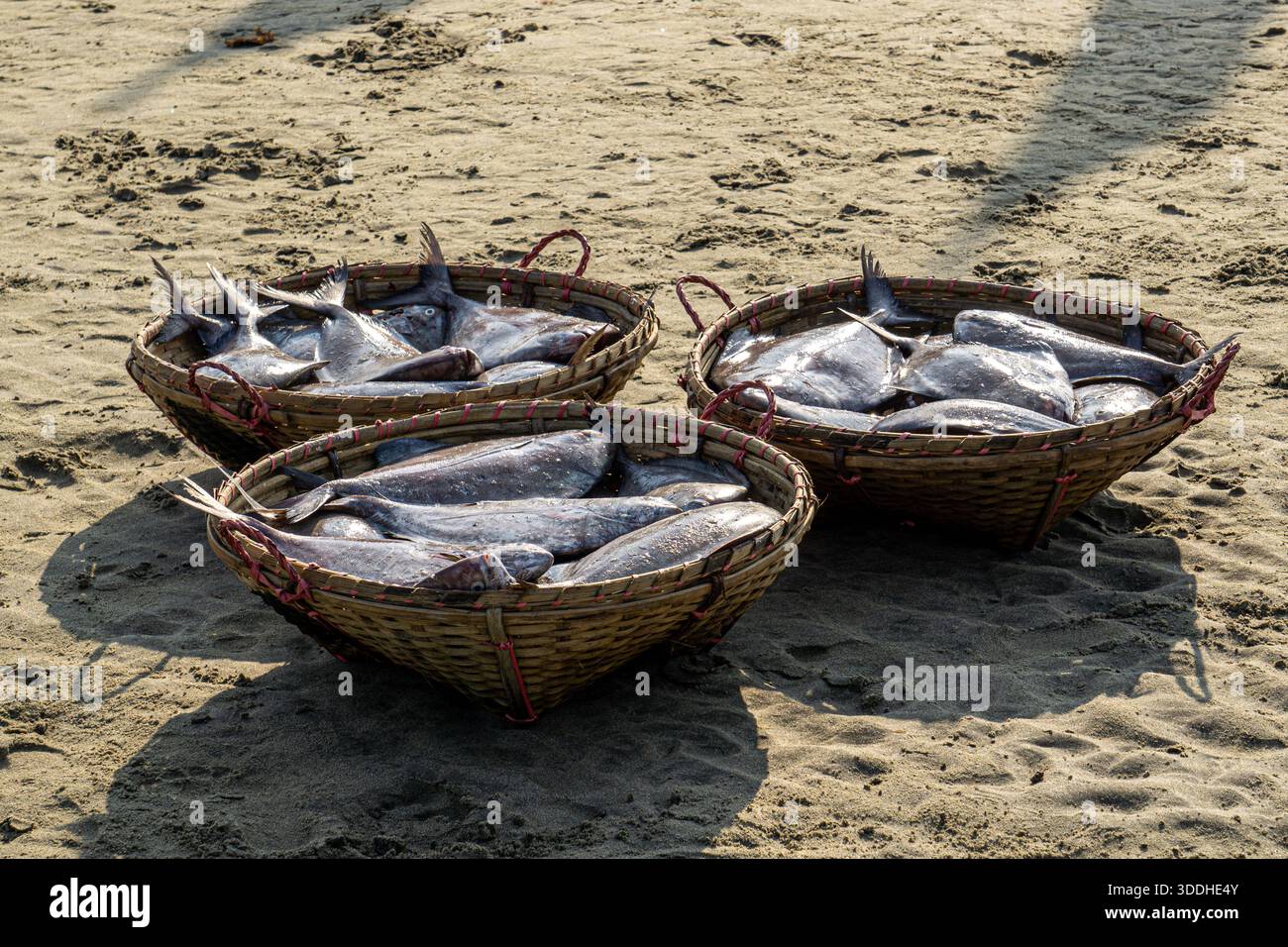 Portraits francs de pêcheurs travaillant sur des bateaux à Inani. Vie quotidienne des pêcheurs locaux sur la côte d'Inani Beach. Banque D'Images