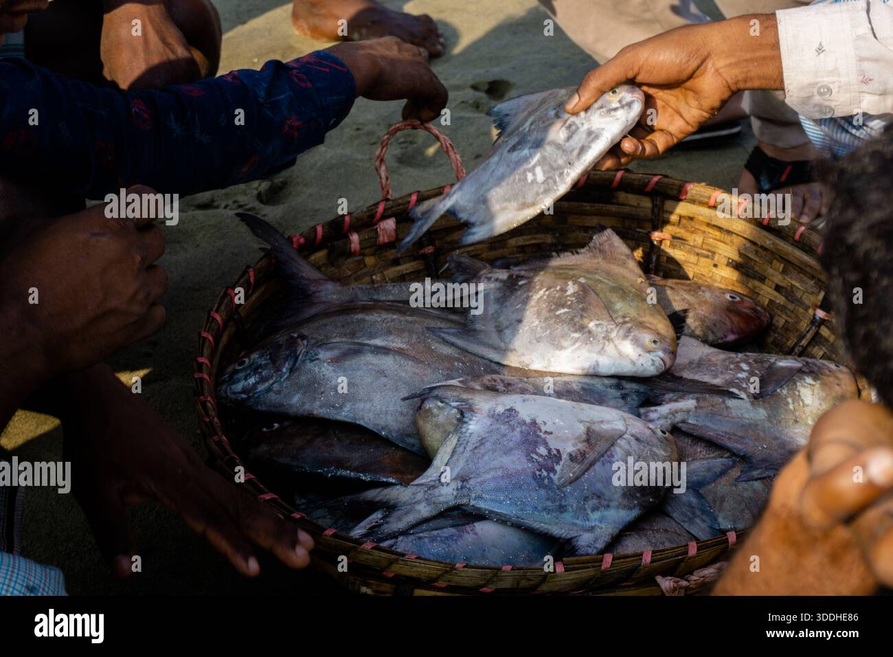 Portraits francs de pêcheurs travaillant sur des bateaux à Inani. Vie quotidienne des pêcheurs locaux sur la côte d'Inani Beach. Marché aux poissons au bord de la mer. Banque D'Images
