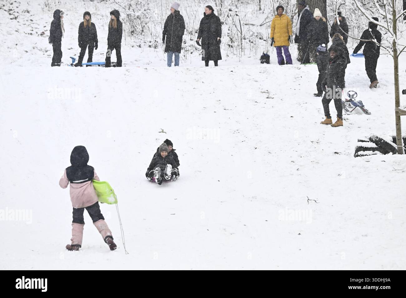 Enköping 20260101 Storm Anna a emménagé à Enköping le jour de l'an avec de fortes chutes de neige.photo : Fredrik Sandberg/TT/Code 10080 ce texte est traduit automatiquement crédit : TT News Agency/Alamy Live News Banque D'Images