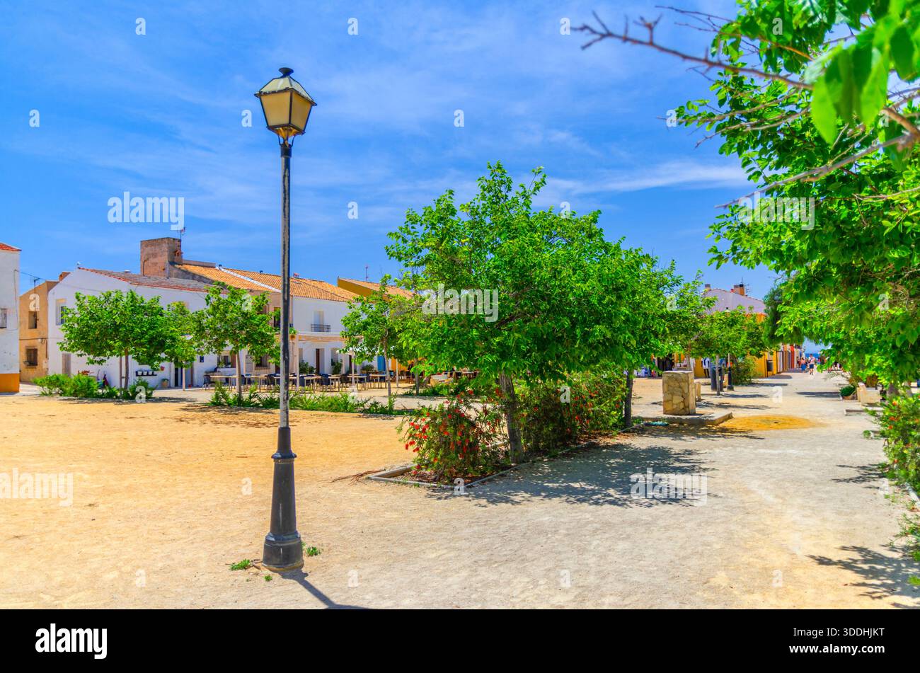 Place centrale de l'île de Tabarca Nueva Tabarca Isla Plana village ville avec de vieux bâtiments maisons typiques, arbres verts, lumière de rue en été ensoleillé da Banque D'Images