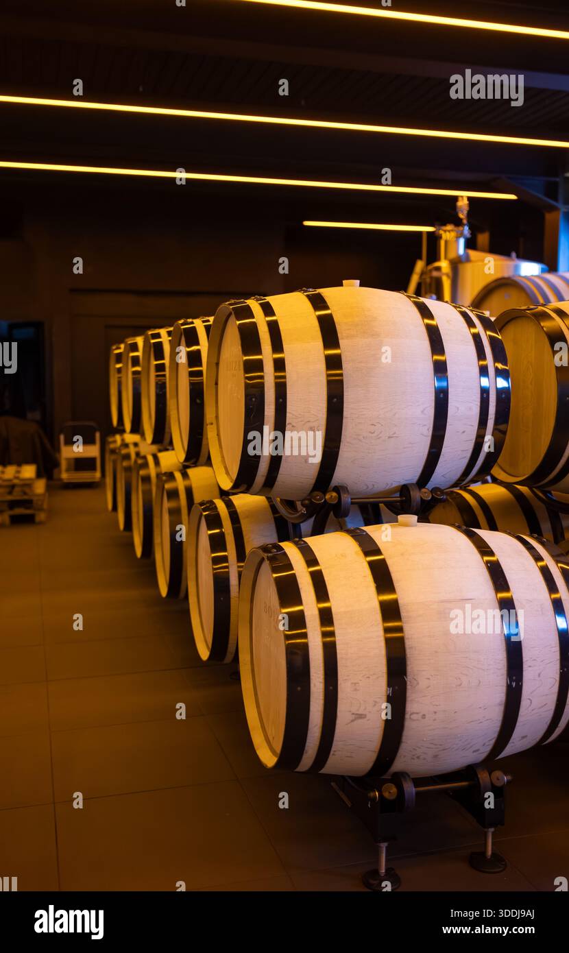 Visite de grottes souterraines modernes avec des cuves en acier pour la fermentation et des fûts de chêne pour le vieillissement og vin, méthode traditionnelle pour faire mousseux champagne w Banque D'Images