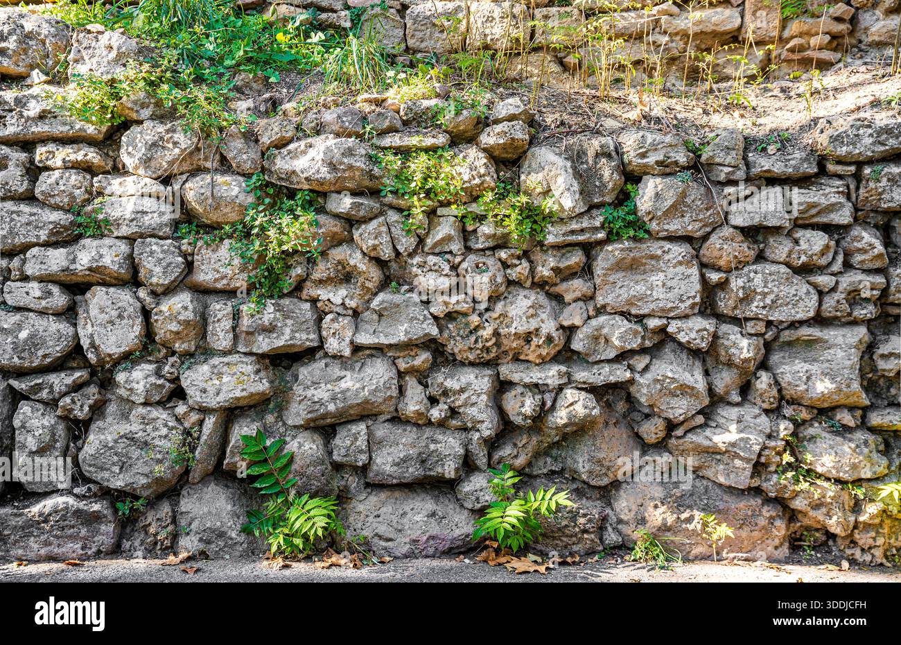 Anciens remparts étrusques et médiévaux le long de Viale Vittorio Veneto à Volterra, ville toscane connue pour ses fortifications millénaires. Volterra, Italie Banque D'Images