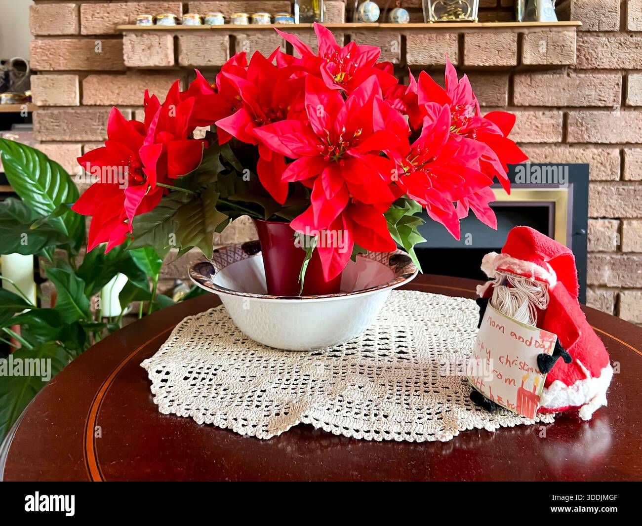 Un poinsettia avec des fleurs rouges vives à côté d'une décoration de Noël maison Père sur une table occasionnelle - Image de stock capturée avec un smartphone