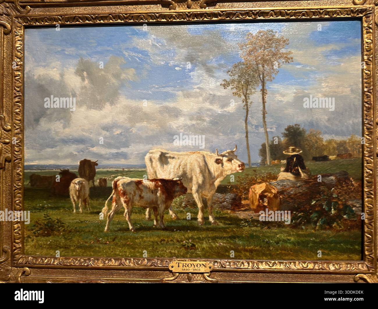 Constant Troyon peinture de vaches blanches et de berger dans les pâturages au Musée Mohamed Mahmoud Khalil, le Caire, Egypte - Image de stock capturée avec un smartphone