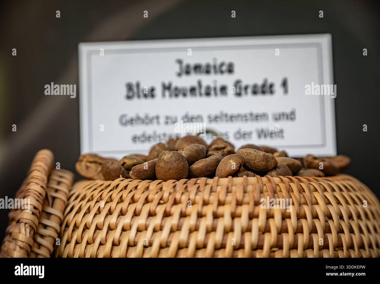 Gros plan de rares grains de café torréfiés Jamaica Blue Mountain Grade 1 dans un panier en osier chez un torréfacteur artisanal du centre-ville de Zurich, en Suisse Banque D'Images